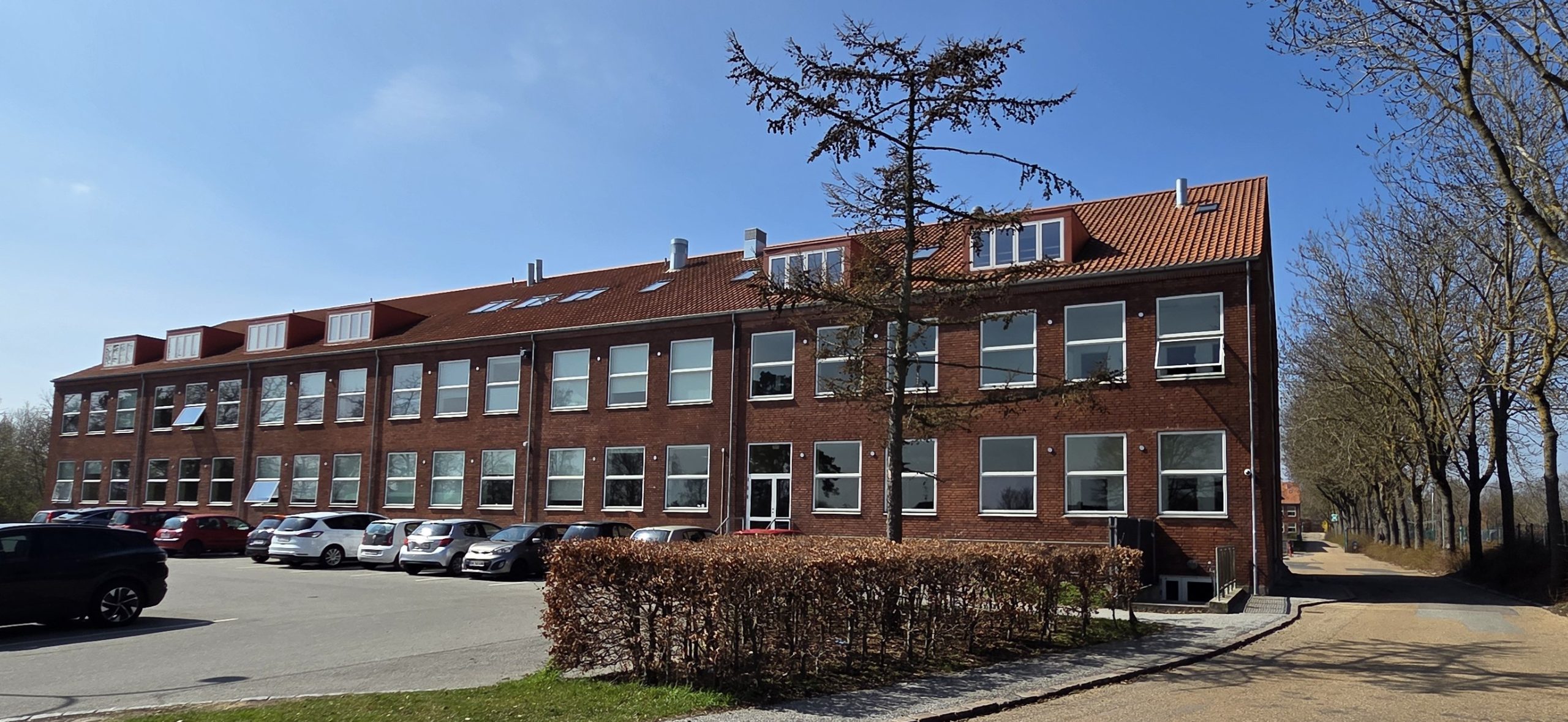 LINDEHØJSKOLEN - 2025